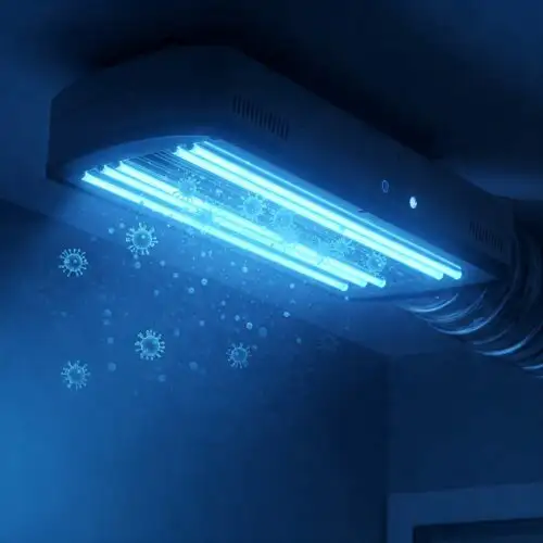 Safe UV light sanitizer use for mold prevention in Tallahassee homes