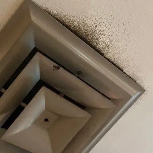 mold is on the air shining on air cooling system installed on the roof