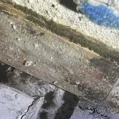 This image is showing mold damages over an hvac air vents