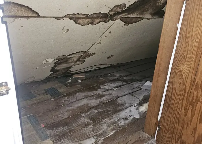 A small, enclosed space with wooden flooring and a slanted ceiling shows significant water damage causing mold growths 