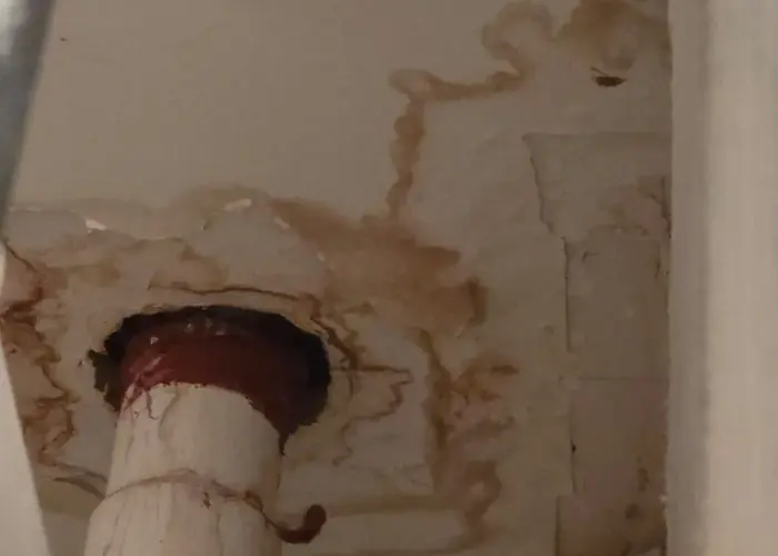 the image is showing water leakage causing stains and mold growth
