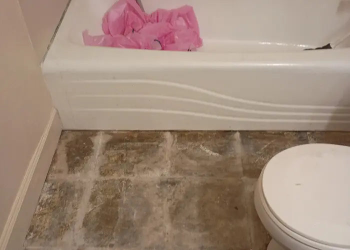 bathroom mold in florida