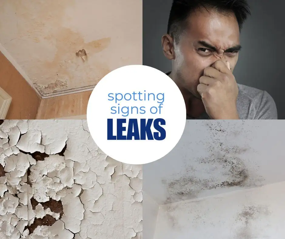 Health Impacts of Bathroom Mold
