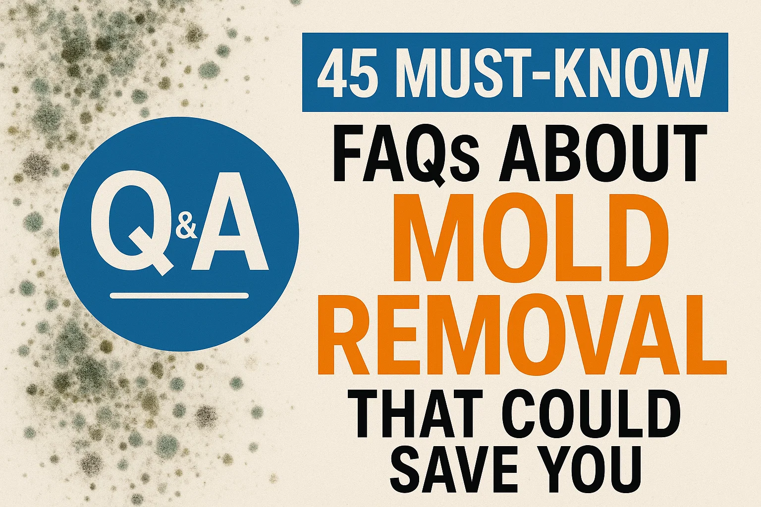 45 Must-Know FAQs About Mold Removal That Could Save You